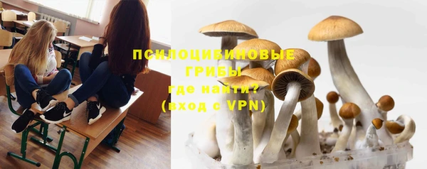 ПСИЛОЦИБИНОВЫЕ ГРИБЫ Верхнеуральск