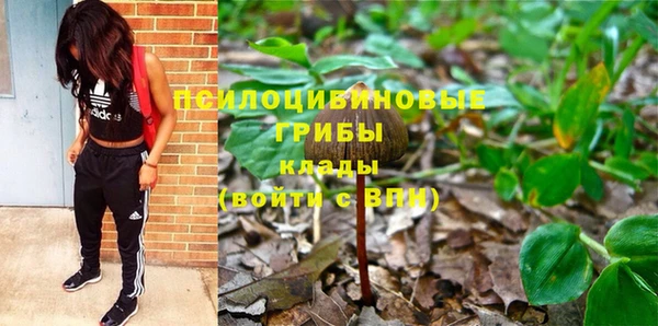 ПСИЛОЦИБИНОВЫЕ ГРИБЫ Верхнеуральск
