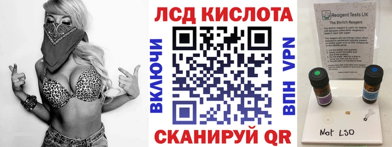 как найти   Калининград  Марки 25I-NBOMe 1500мкг 